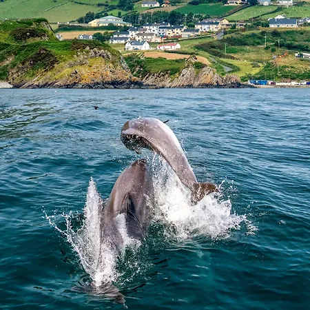 Holiday home Realt Na Mara Killybegs